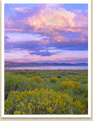 Mono Lake Image